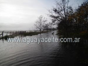 Inundaci�n 2012: Crecida similar a la �ltima inundaci�n del 2002, con el atenuante por los trabajos de ensanche y limpieza realizados en el Arroyo